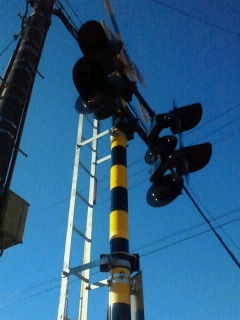 �^�������������S�Ă���Ȃ���