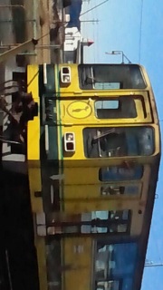 �����͋��߂ĂȂ��ł�����