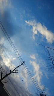 �B�������炱��