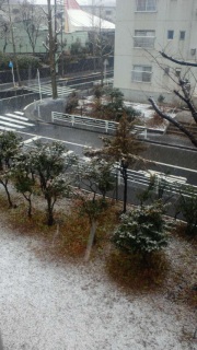 �ق�̏����̂��ƂȂ̂�