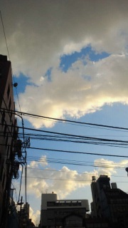 �����炻�ꂪ�D���Ȃ񂾂��Ă�