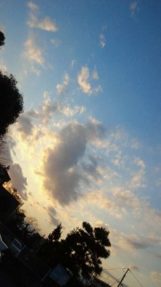 �v���U��ɂ���ł��Ă悩�����ł�