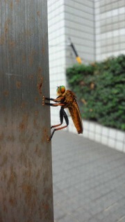 �U���C�_�[����