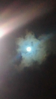 �{���͏\�ܖ�c