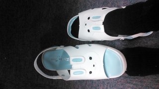 �ǂ������D���Ȃ�