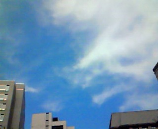 �܂�Ő؂���ꂽ�G�̂悤�ɂ��v����