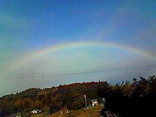 ��ɉ˂��鎵�F�̌���