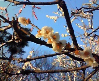 ���̎v���̂܂܍炫�ւꂽ��Ɗ肤