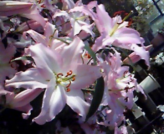 ���̏u�ԁA���Ȃ��̑��݂ɋC�t�����ꂽ