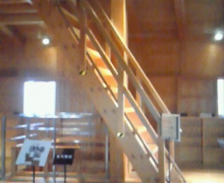 ���p�I�ł͂Ȃ��Ƃ������Ƃ͂���Ȃ�̗��R������Ƃ�������