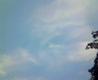 �����čD���Ȃ񂾂���