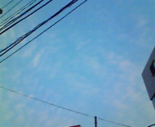 ����͂���ł����Ǝv����