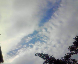 ���̗���͍L���C��ʂ�z���ċ�܂ŒH�蒅��