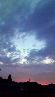 �҂��Ă��邾������Ȃ��ĒT���ɍs���Ȃ�����