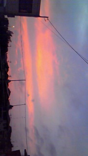 ����͌N�ɉ���߂������񂾂�