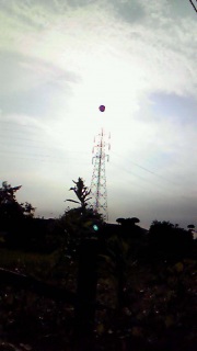 ����͌�ł̂��y����