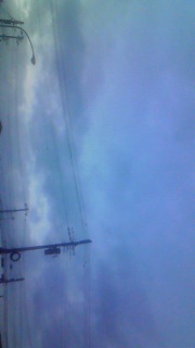 ����Ă���ς����