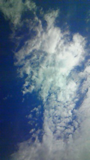 ����ς��Ƃ�������čs�����Ȃ������