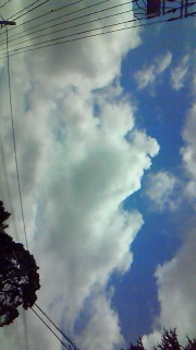 ������Ɠ��S�ɖ߂��Ă݂܂���