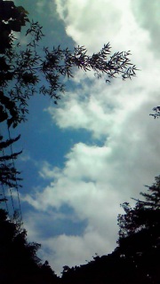 �S�Ă���ɓ�����Ȃ��̂Ȃ点�߂Ă��̈ꕔ�ł�