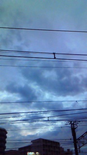 �N�͂Ƃ��ǂ��A�͂��Ƃ���悤�ȕ\���������