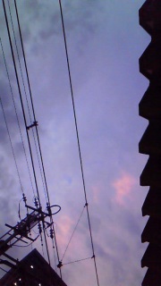 �ɂ₩�ɁA������䂭