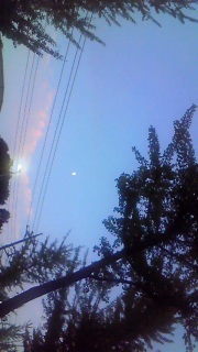 ����͋��R�������̂��A�K�R�������̂�