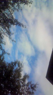 ����������A�撣�邼�[�I