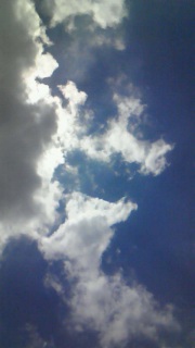 ���}����Ă���̂��Ǝ�����Ă������ł���