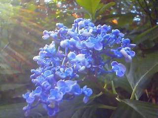 ���̋��R�͎v�������Ȃ����ʂ𐶂ݏo����