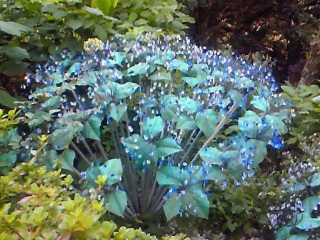 ����͖{���ɂ͂Ȃ��P��������Ă���