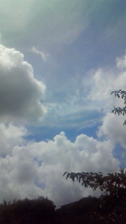 �ǂ����Ă��ǂ����Ă��v���o�����Ƃ��o���܂���