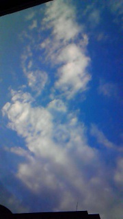 �����ق������������܂�