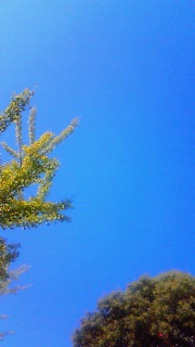 ��l�ł͂ǂ����悤���Ȃ����Ƃ����Ă���