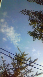 ��΂ɉ����ĐM���Ă�