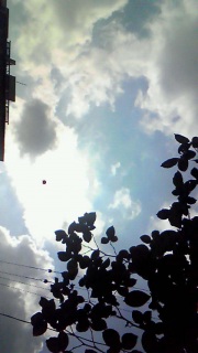 �΂̌������ɂ͋󂪍L�����Ă���