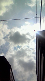 ���Ɖe�����o�����i