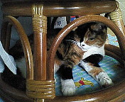 �Ȃ񂩁A������ƈႤ�񂾂��