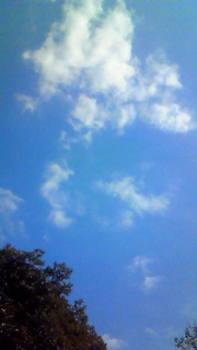 ���グ����͂܂������Ȃ�