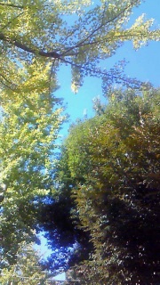 ���܂ɂ͂���Ȋ����������񂶂�Ȃ�����