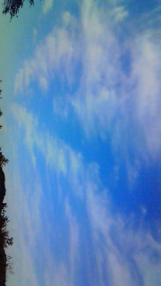 ���o���ꂽ�`�ɖ��������