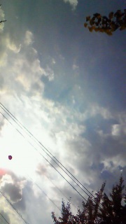 �܂��܂���������Ȃ��悤�ł�