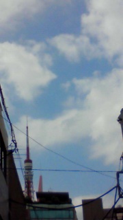 �t�ɕ��ʂȂ̂͂߂��炵������