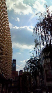 �̍قɂ������߂��Ė{����������Ȃ���