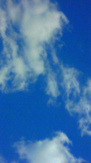 �Ɣ��̑f�G�Ȋ֌W