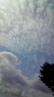 �ړI�̐�ɂ��������̖ړI