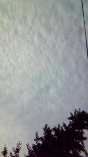 �V��Ɍ���ꂽ�ጴ