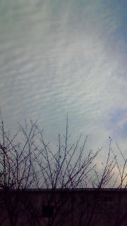 ���Ȃ��̕\��Ɏ��̓��������Ȃ�