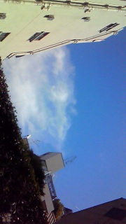 �ǂ��炪�������������͂킩��Ȃ������