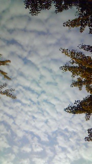 ���̕s�v�c�͕s�v�c�̂܂܂�